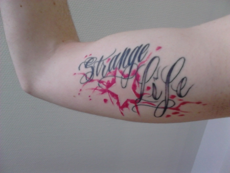 Just strange Life