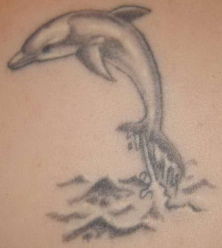einfachich79: Delfin - mein erstes Tattoo