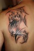 Drache
