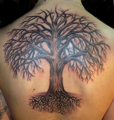 Baum