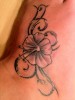 Hibiskusblüte mit Geschnörkel :)
