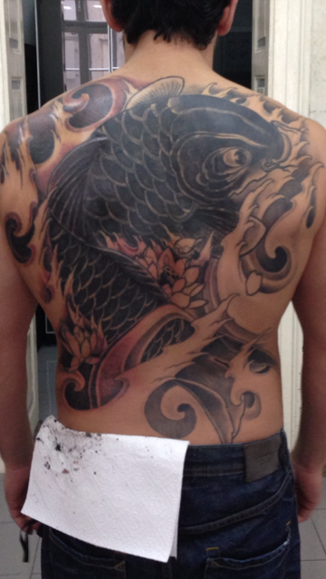 Koi cover up