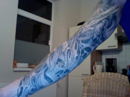 Biomechanik by Peter