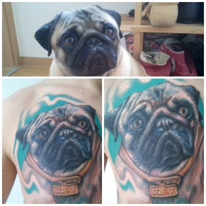 Mein Hund