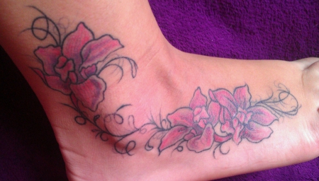 Orchideen