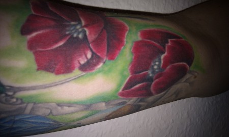 mohnblumen plus sanduhr
