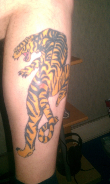 Tiger