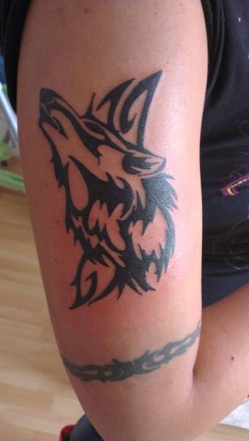 wolf