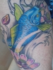 Koi