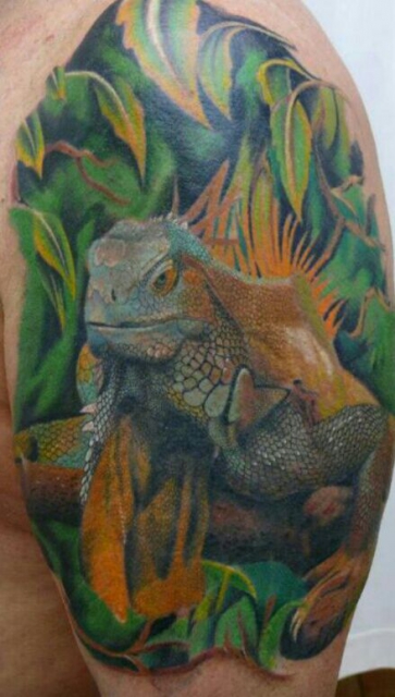 Leguan