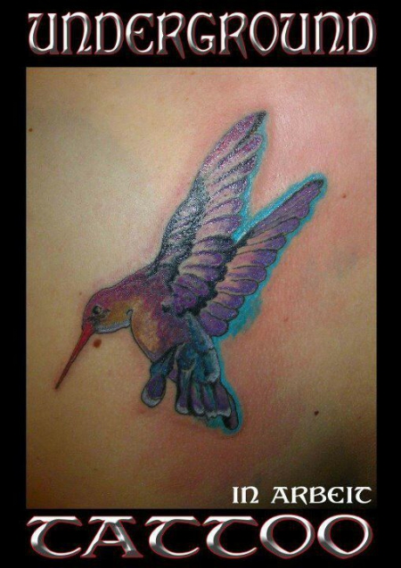 kolibri