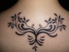 Tribal