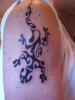 Gecko
