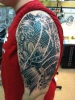 Koi 