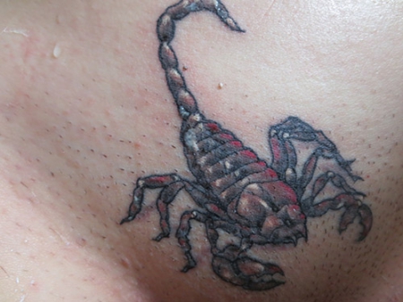 Erstes Tattoo: Skorpion :-)