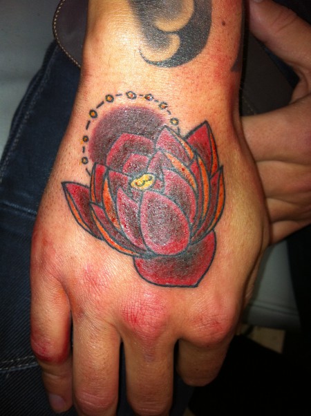 Lotus blüte