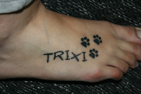 Trixi