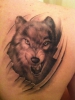 Wolf 3d Schulter