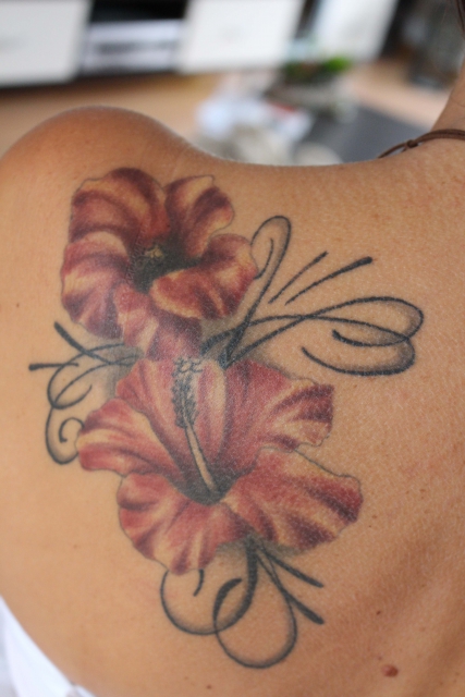 Suchergebnisse Fur Hibiskus Tattoos Tattoo Bewertung De Lass Deine Tattoos Bewerten