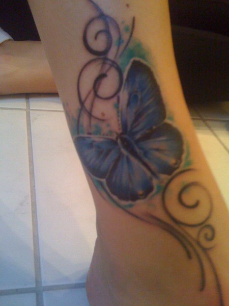 blauer Schmetterling 
