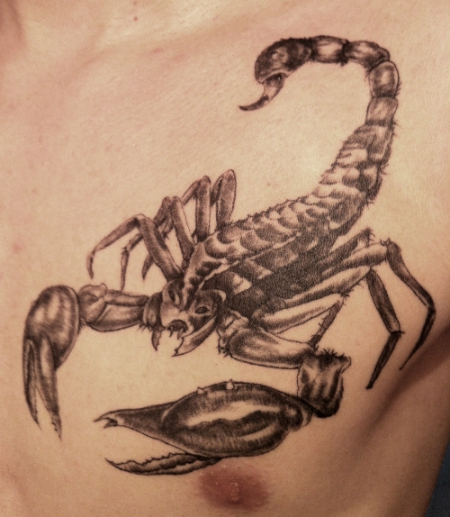Scorpion (Brust)