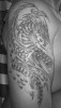 Drache mit keltischen Zeichen