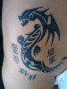 Chinesischer Drachen 