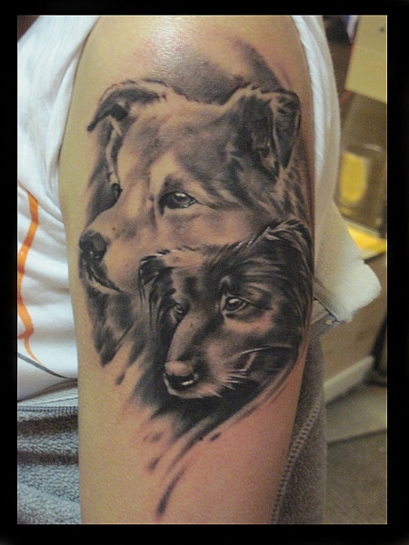 dogs