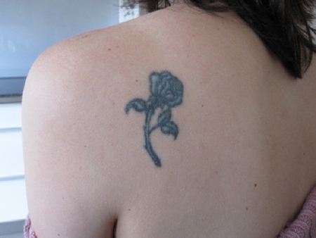 Blaue Rose