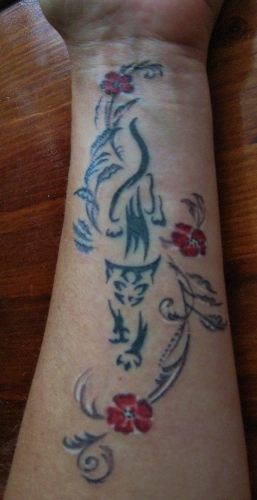 Katze 