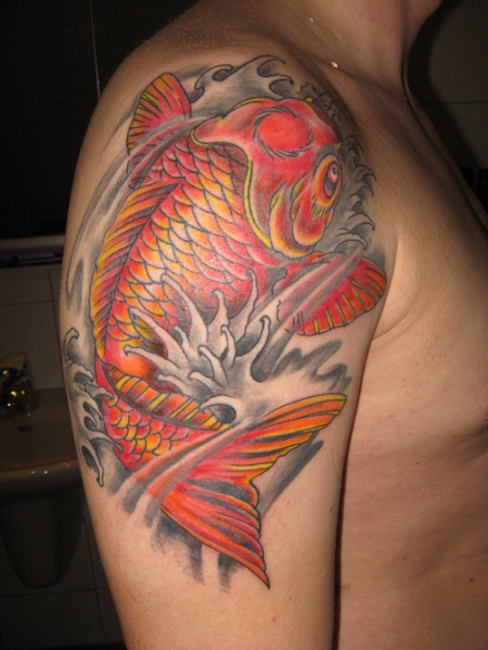 Koi