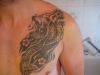 koi
