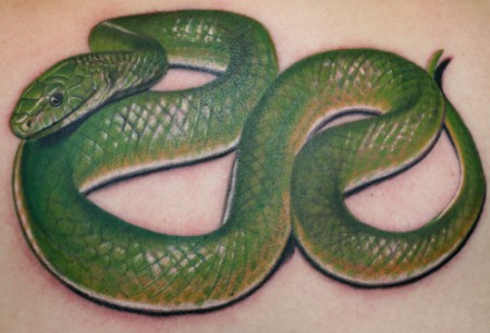 Grüne Mamba