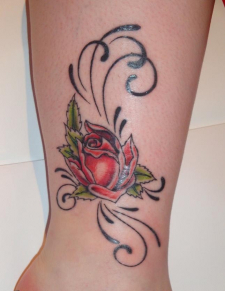 Meine Erste Rose