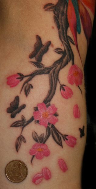 Kirschblüten