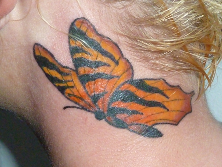 Mein Zebraschmetterling