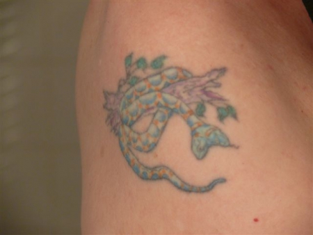 Schlange mit 2 Köpfen. Das sollen meine 2 Seiten symbolisieren: die private und die offizielle. Dieses Tattoo ist  34 Jahre alt 