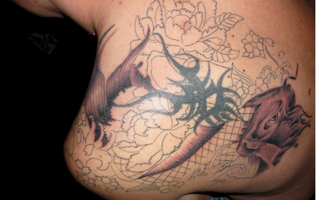 cover up Koi 