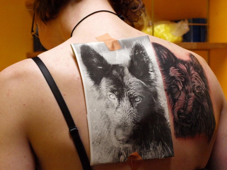 Mein verstorbener Hund