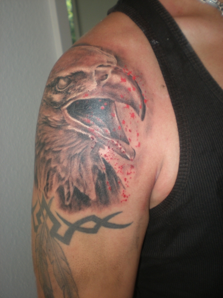 Adler Ansicht 2
