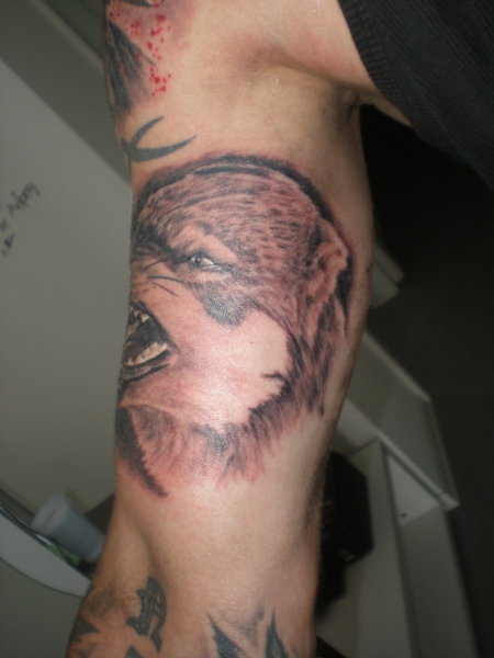 Wolf Ansicht 2