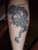 Drache