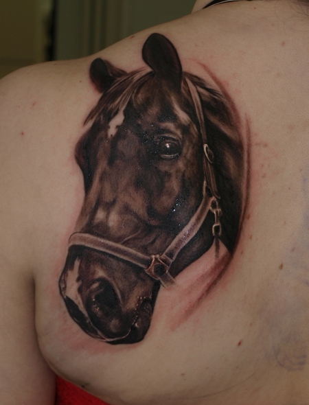 pferd-Tattoo: Pferd portrait by SoFat