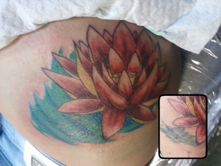 Cover up von meinen misslungenen Frosch