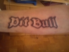 Pibull schrift