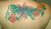 Cover-Up
