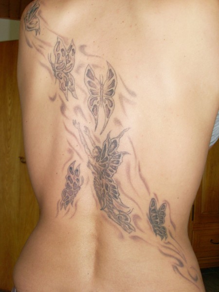 Butterfly´s