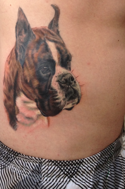 Boxer Portrait *realistisch*