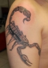Skorpion