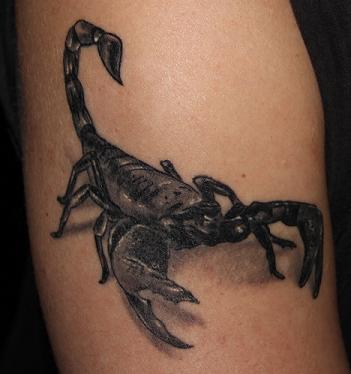 skorpion-Tattoo: Skorpion